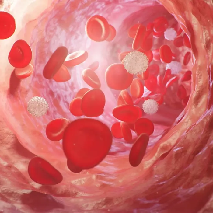 Blood cells flowing through a vessel